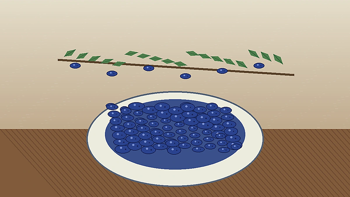 Reife Maibeeren in einer kleinen Schale nach der Ernte
