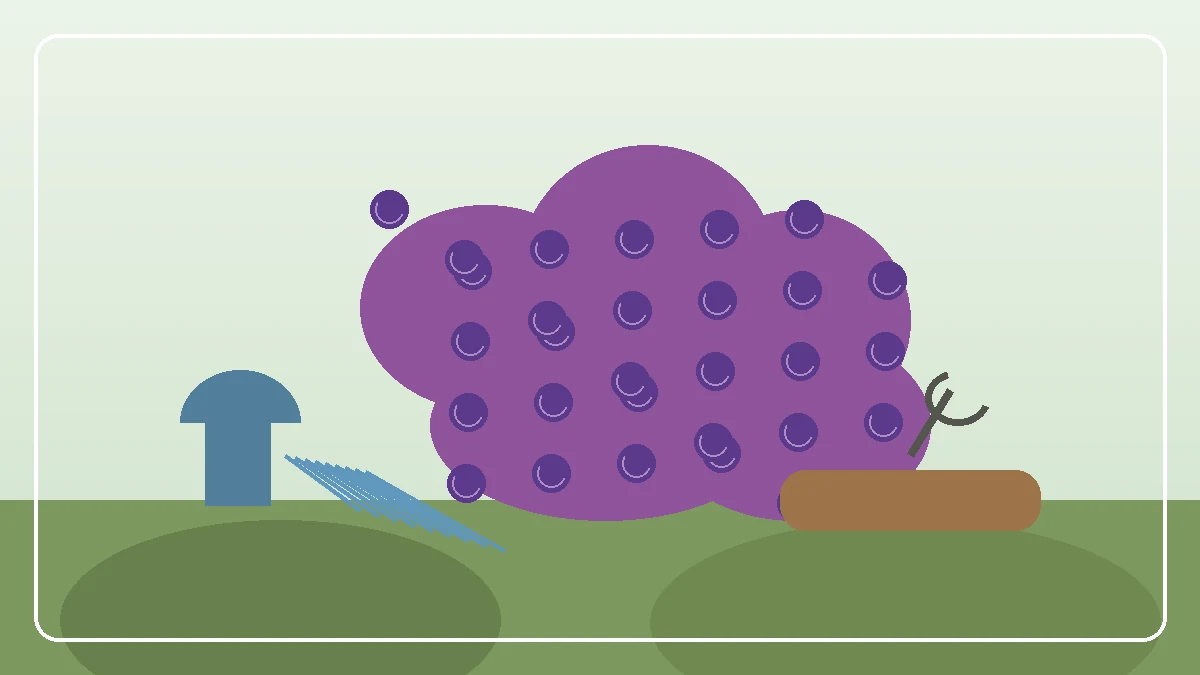 Pflaumenbaum mit reifen violetten Pflaumen