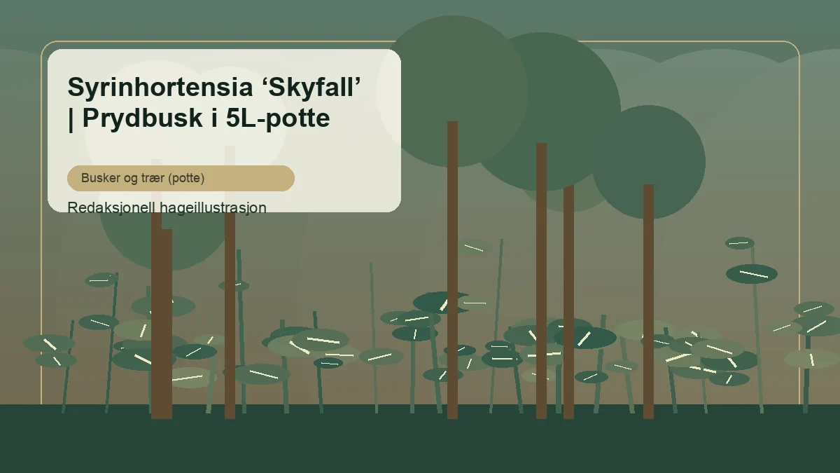 Rispenhortensie 'Skyfall' als redaktionelle Gartenillustration in einem gemischten deutschen Strauchbeet