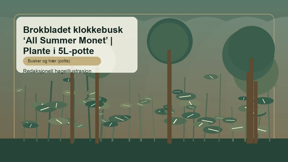 Buntlaubige Weigelie 'All Summer Monet' als redaktionelle Gartenillustration in einem gemischten deutschen Strauchbeet
