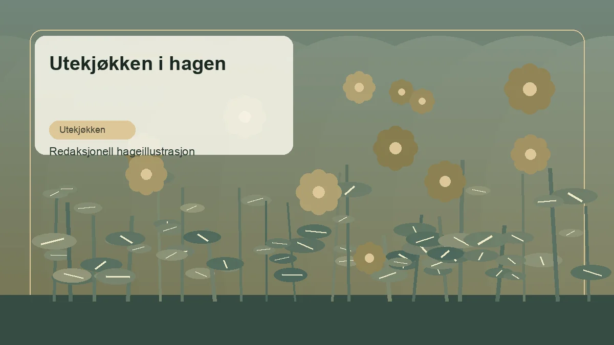 Outdoor-Küche im Garten als redaktionelle Gartenillustration in einem deutschen Gartenumfeld
